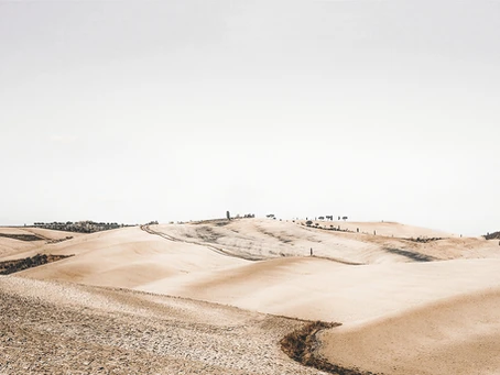 Unlock the Potential of Your Outdoor Space